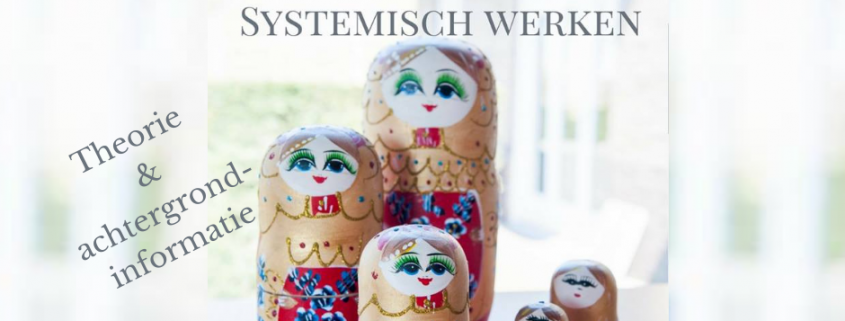 Systemisch werken lesdag theorie